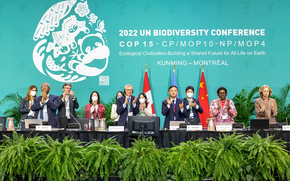 COP15 delegates gathered in a conference hall.
