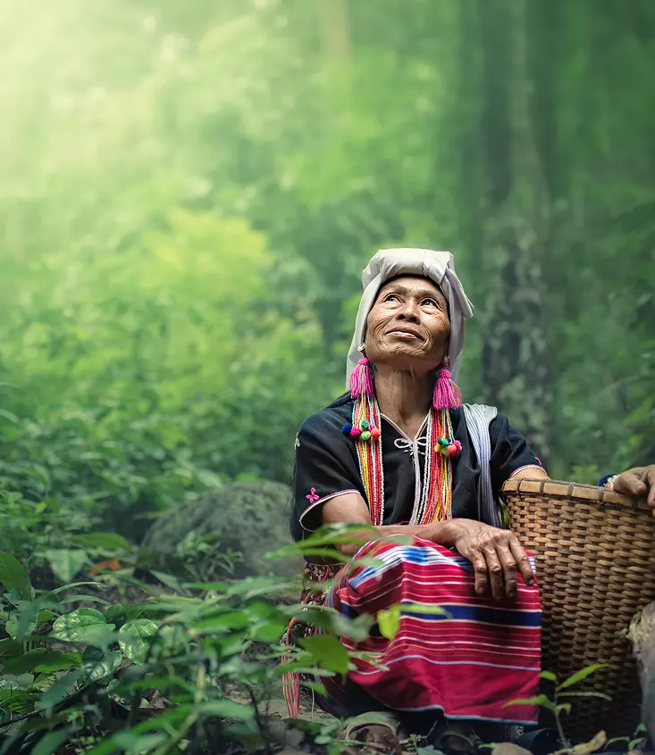 Woman carrying a basket through a tropical jungle.